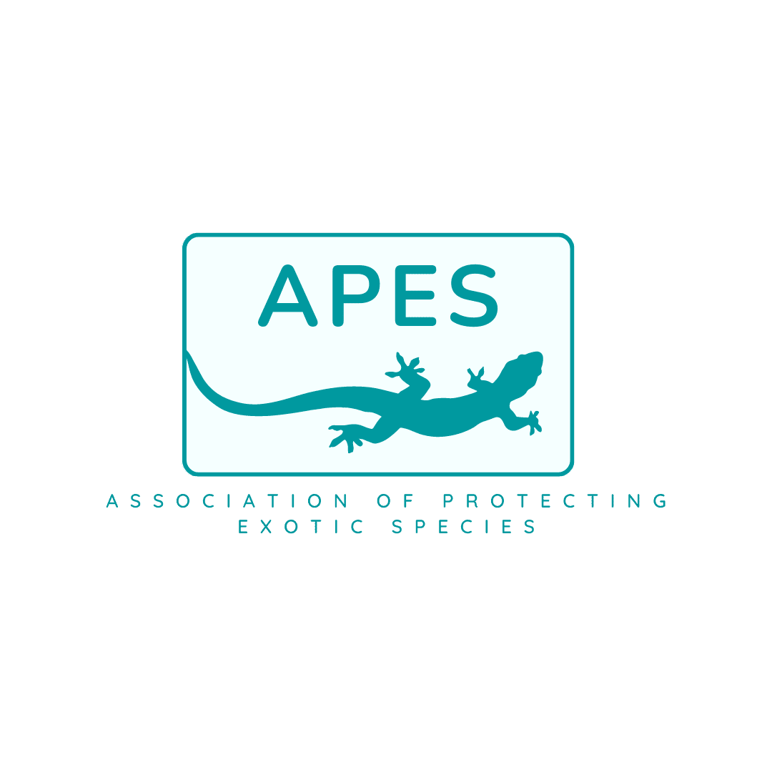 About Us APES Pet Care Clinic about-us-apes-pet-care-clinic